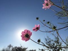 -大理无舍度假酒店