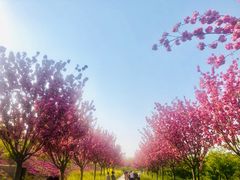 -古柏渡飞黄旅游区