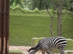 -北京野生动物园