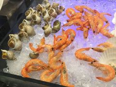 -圣丰索菲特·2 On 988 Café 自助餐厅