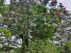 -中国移动南方基地