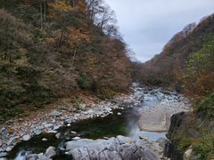-光雾山旅游景区