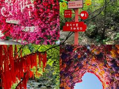 -红崖峡谷景区