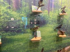 -下渚湖国家湿地公园科普馆