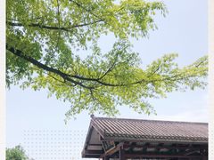 -荣生萝卜汤饭店