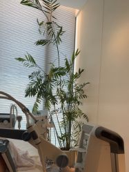 -HYOUNG 禾漾·BTL官方美学中心