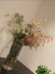 -HEYAN荷妍专业脱毛连锁机构
