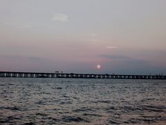 -红树湾(地铁站)