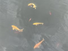 -百林公园-两江幸福广场