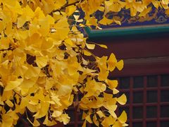 -红螺寺