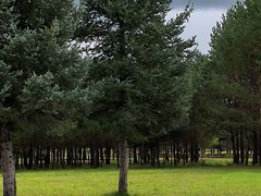 -北极村旅游风景区