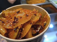 -周小亮丁家坡洋芋(全国总店)