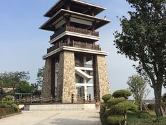 -大湾区中央湿地公园