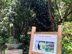 -福建鲤鱼洲酒店