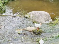 -北京水岸山吧度假村(雁栖镇店)