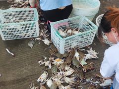 -吕四渔港码头海鲜餐厅