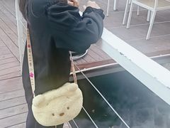 -芭厘农庄老字号·清远鸡
