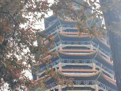 -铁山坪森林公园