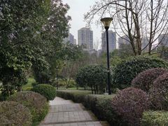 -龙头寺公园