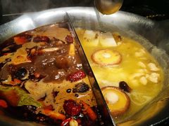 花胶锅-湊湊火锅·茶憩(打浦桥日月光店)