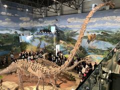 -自贡恐龙博物馆