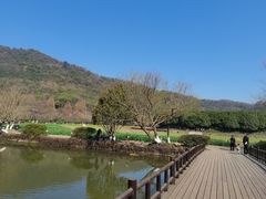 -八卦田遗址公园