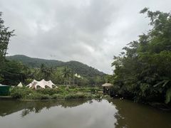-呀诺达热带雨林