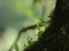 -西岭雪山大飞水景区