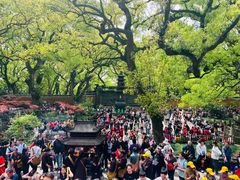 -普陀山风景名胜区-法雨禅寺