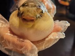 -肆月河豚·淮扬菜·湘菜(华天店)