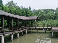 -溱湖国家湿地公园