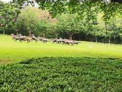 -广州雕塑公园