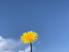 -硗碛藏寨·神木垒景区