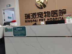 -瑞派康怡24h宠物医院·犬猫医疗中心·微创绝育(瑞景分院)