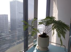 -颜蕾医美黄金微针水光玻尿酸超声炮抗衰中心