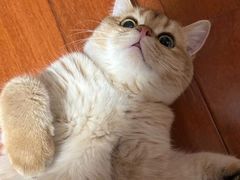 -泰康拜博口腔(凯迪大厦店)