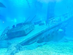 -福州罗源湾海洋世界旅游区