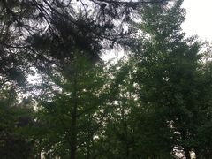 -玉佛苑