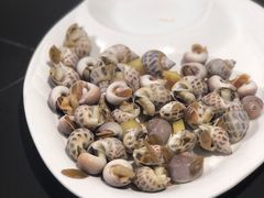 花螺拼香螺-杨记海鲜楼(三门黑金冠店)