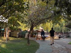 -尚庄度假村·庭台树下·户外烧烤·团建CS·轰趴营地(上庄水库店)