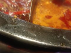 -蜀大侠火锅(总府路店)