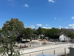 -观潮胜地公园