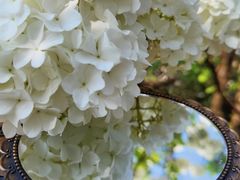 -大龙山(地铁站)