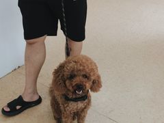 -芭比堂爱心动物医院(柯桥康爱分院)