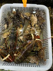 -钓虾工场·钓虾·赶海(回龙观店)