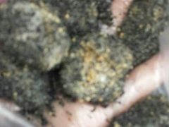 android_upload_pic-叶氏麻糍(鼓浪屿店)