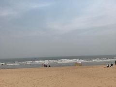 -日照海滨国家森林公园