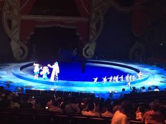 -珠海横琴长隆《卡卡虎奇遇记》