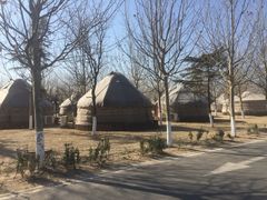 -九十九顶毡房(阜石路店)