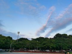 -东莞植物园